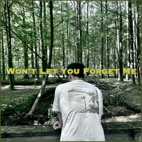 Won't Let You Forget Me