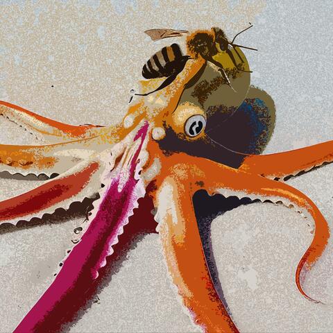 DEAD SQUID 196