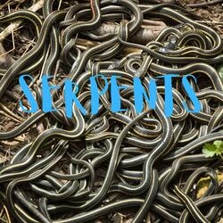 Serpents