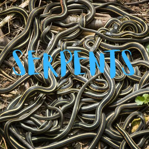 Serpents