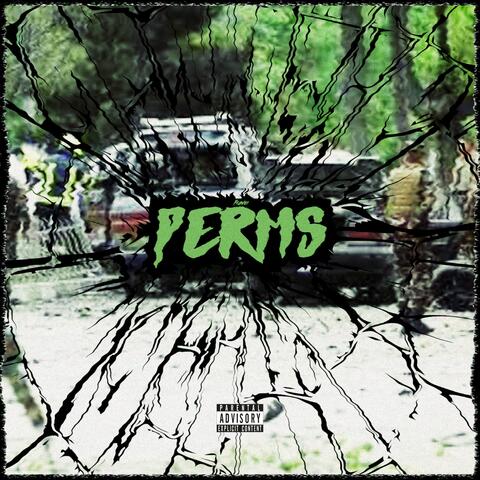 PERMS