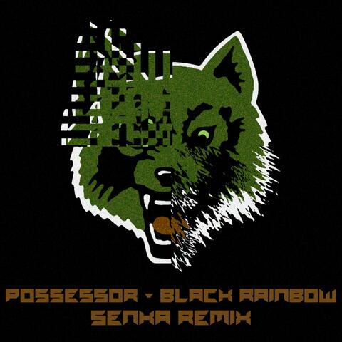 Black Rainbow