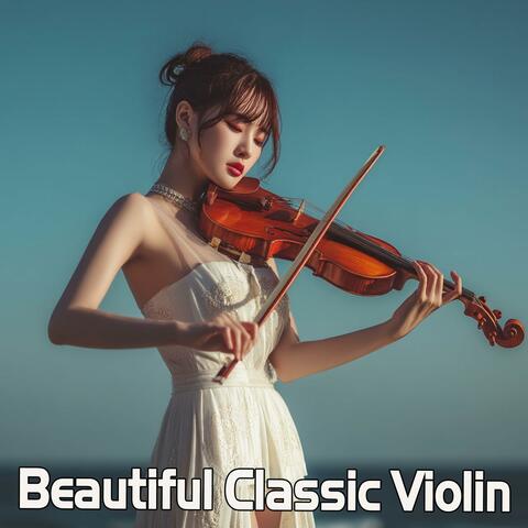 Angle Beautiful Classic Violin
