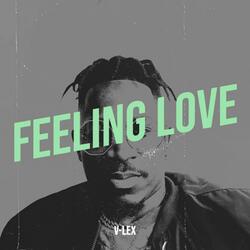 Feeling Love