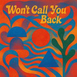 Won't Call You Back (Hello?)
