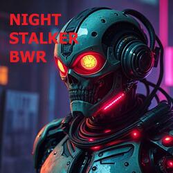 NIGHT STALKER