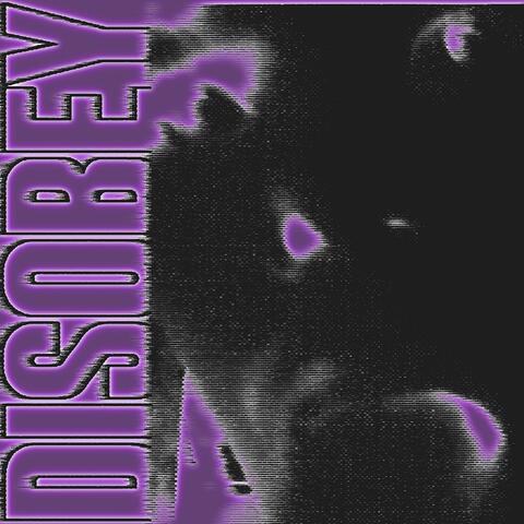 Disobey