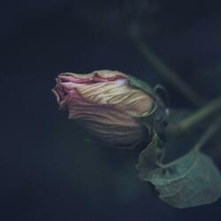 The End Of Something Beautiful