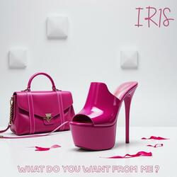 What Do You Want From Me ?