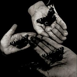 / durch sich hindurch