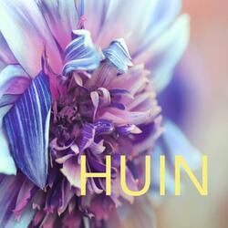 HUIN