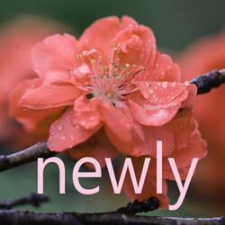 Newly