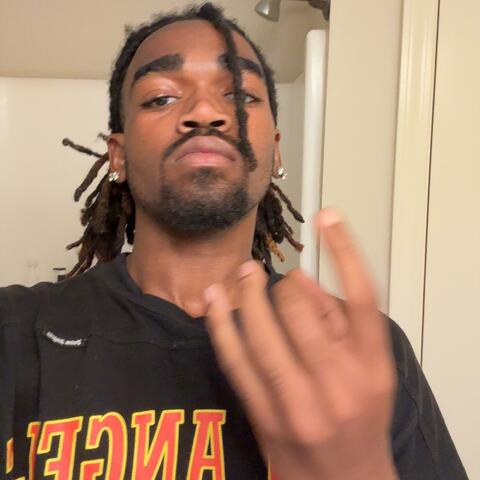 chimp snippet