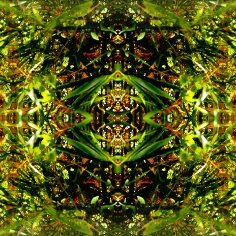 earth