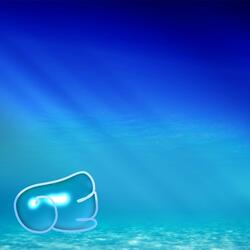 LOADING_VITRUAL_SHORES