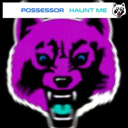 Haunt Me