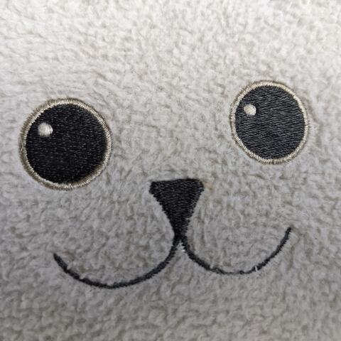 Joyfully Uncertain