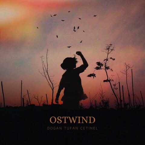 Ostwind