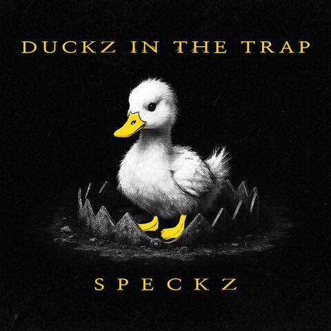 DUCKZ IN THE TRAP