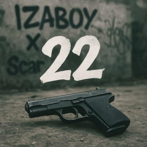 22