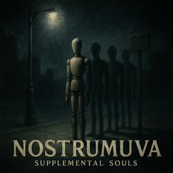 Supplemental Souls