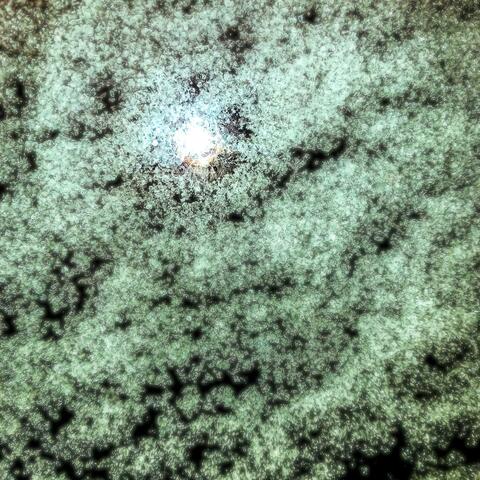 Pellucid