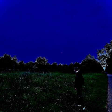 u can't hear my screams