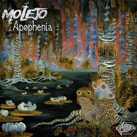 Apophenia