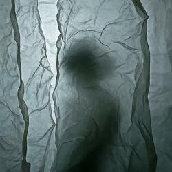 Paper Walls