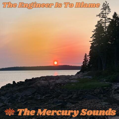 The Engineer Is To Blame