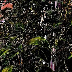 five minutes just for YOU