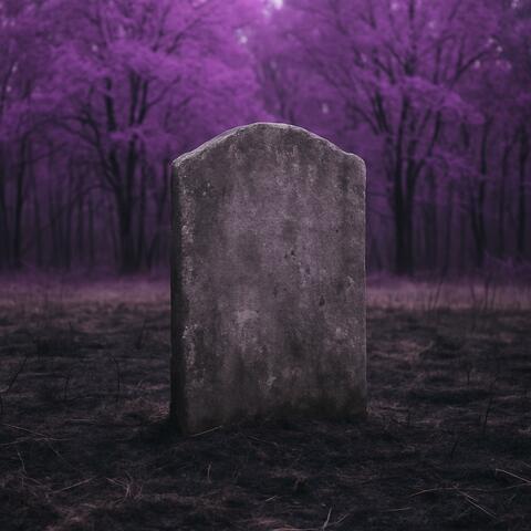 Sunshine On Your Grave