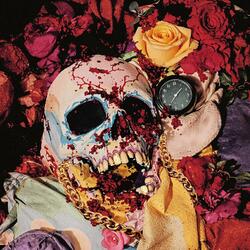 I Don't Wanna Die In Vain