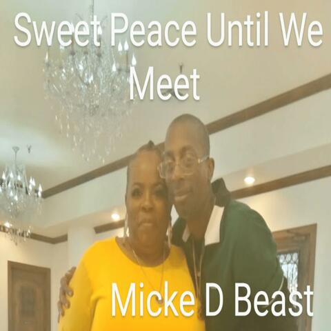 Sweet Peace Until We Meet