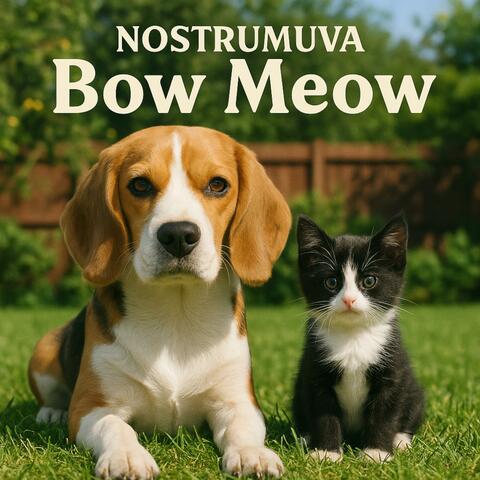Bow Meow