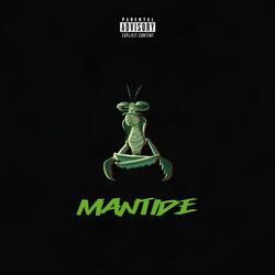 Mantide