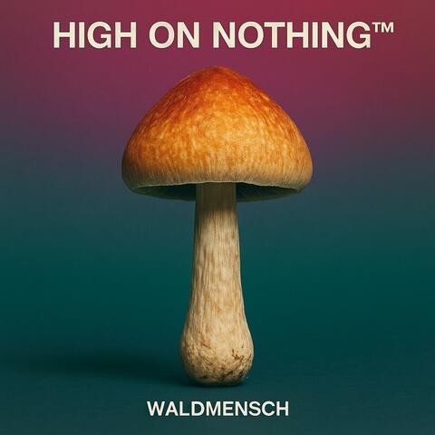 High on Nothing TM