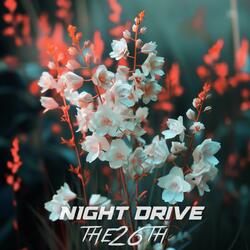 Night Drive