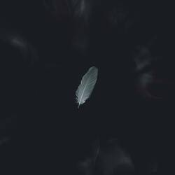 Weightless