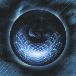 Sunflower 'Ambient Mix'