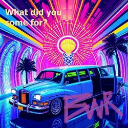 What did You Come for?