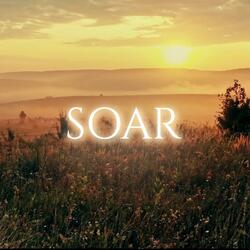 Soar