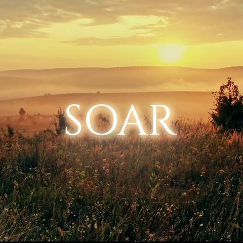Soar