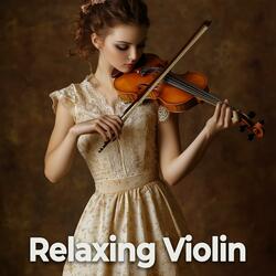 The Scientist Violin