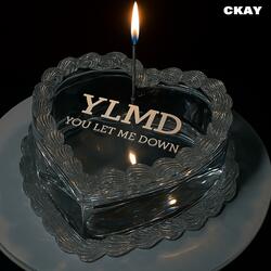 YLMD (You Let Me Down)