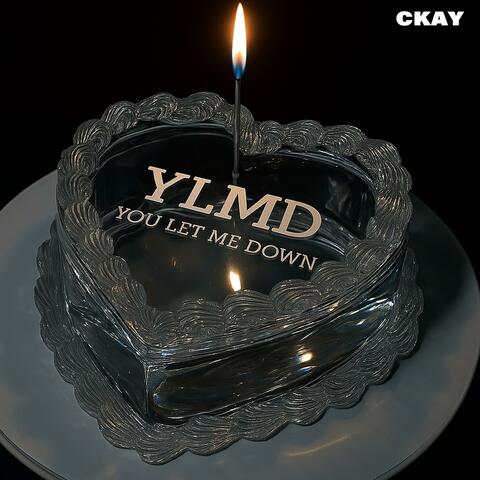 YLMD (You Let Me Down)