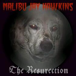 I Need A Resurrection
