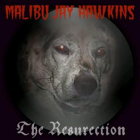 I Need A Resurrection