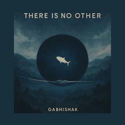 There is no other