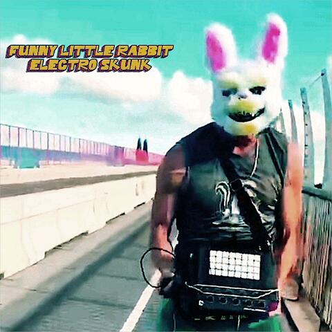 Funny Little Rabbit